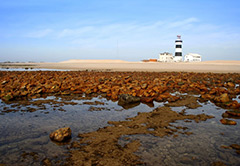 Eastern Cape Day Trips