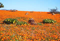 Eastern Cape Package Tours