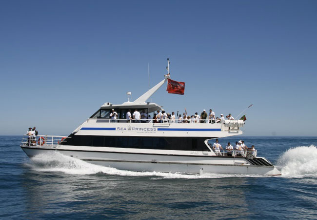 Waterfront Charters