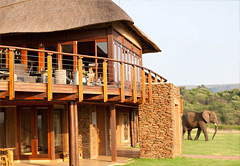 game lodge or safari