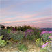 Aardvark Nature Reserve - CLOSED, Cape Town