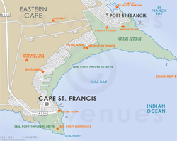 Street Level Map