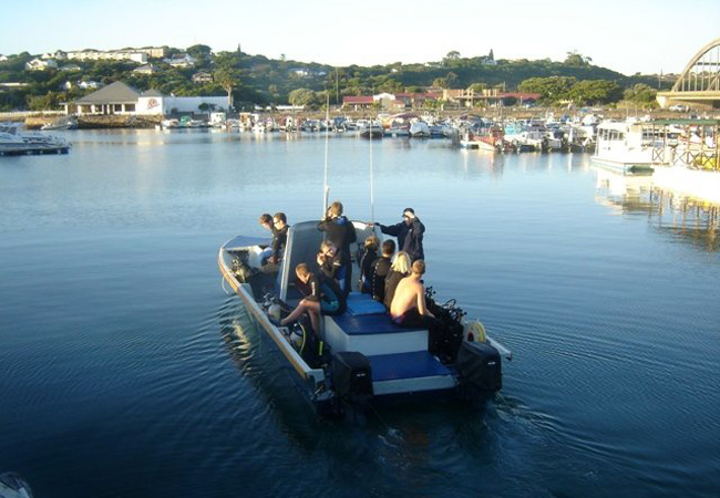 boat cruise prices in port alfred