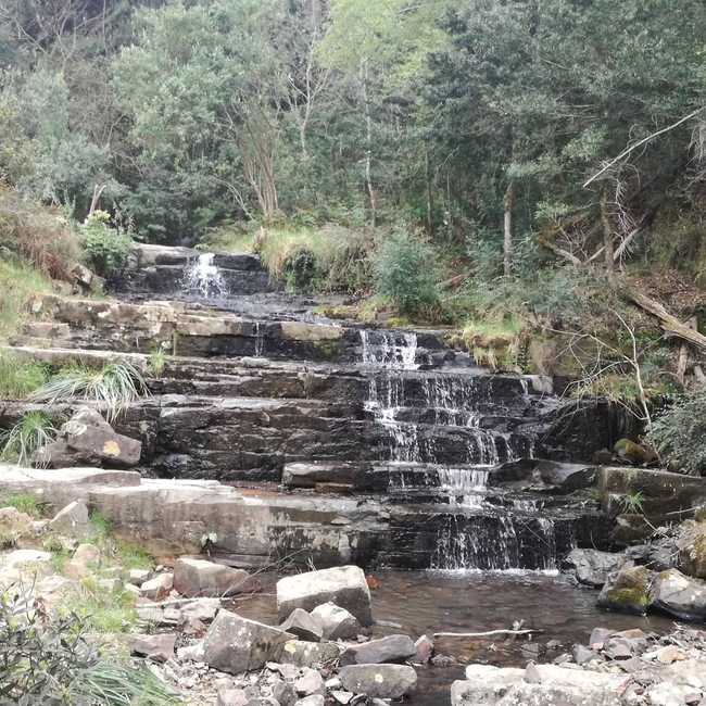 39 Steps Falls and Arboretum