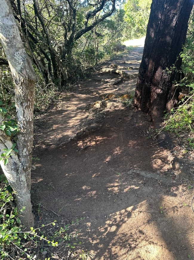 3 Silos MTB Adventure Trails