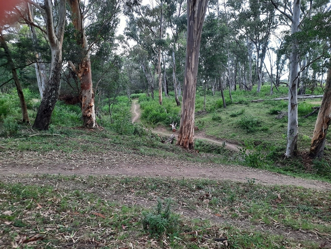 3 Silos MTB Adventure Trails