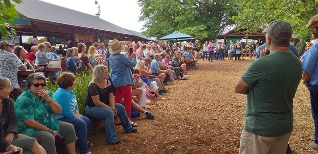 Outeniqua Farmers Market