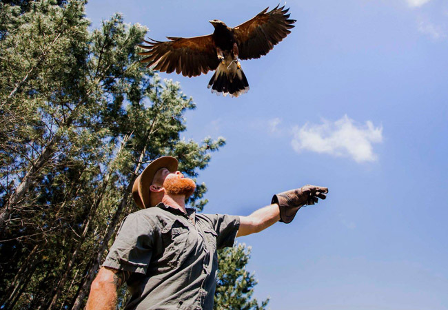 Photograph © Raptor Rescue Plett