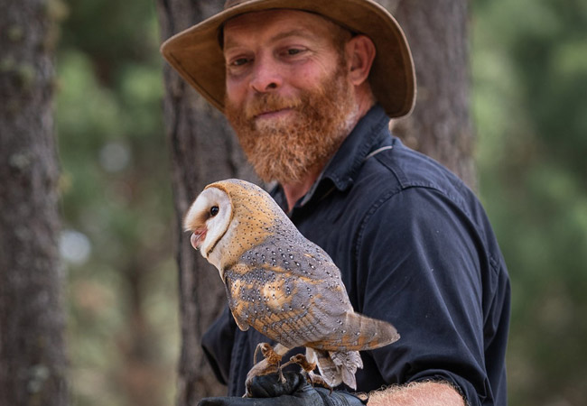 Photograph © Raptor Rescue Plett