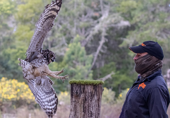 Photograph © Raptor Rescue Plett