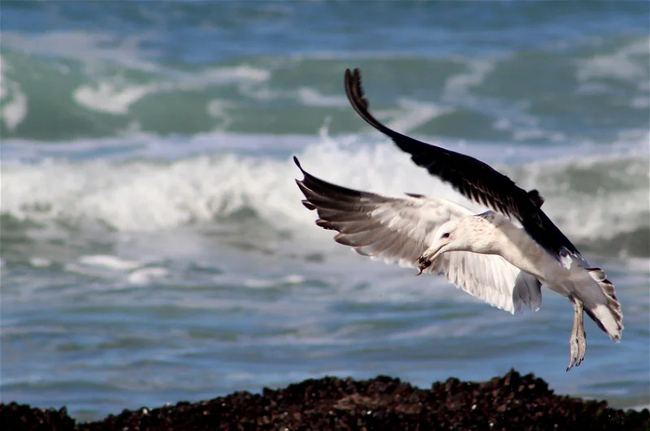 Hunter Gatherer Hike