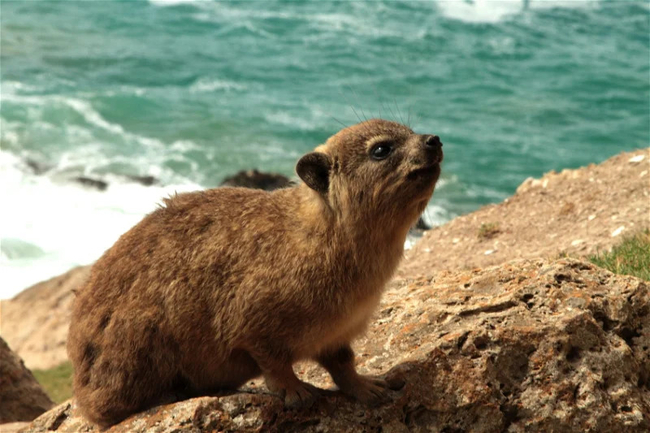 Hunter Gatherer Hike