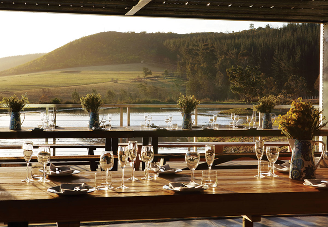 Kay and Monty Vineyards