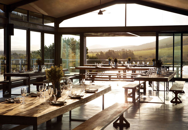 Kay and Monty Vineyards