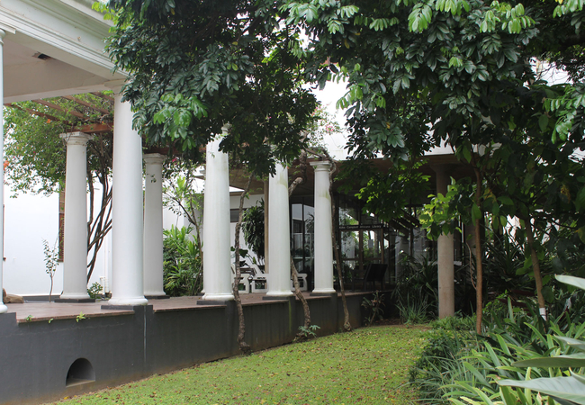 The Campbell Collection