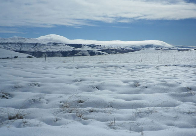 Photograph © The Homestead Hotel in Geluksburg (Highly recommended)
