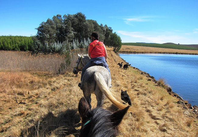 Photograph © Stormy Hill Horse Trails
