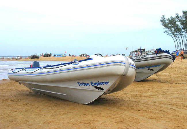 Photograph © Triton Dive Charters