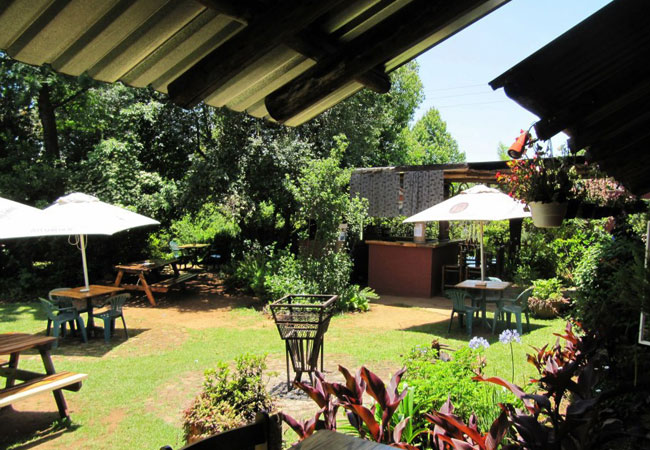 magoebaskloof canopy tours activities