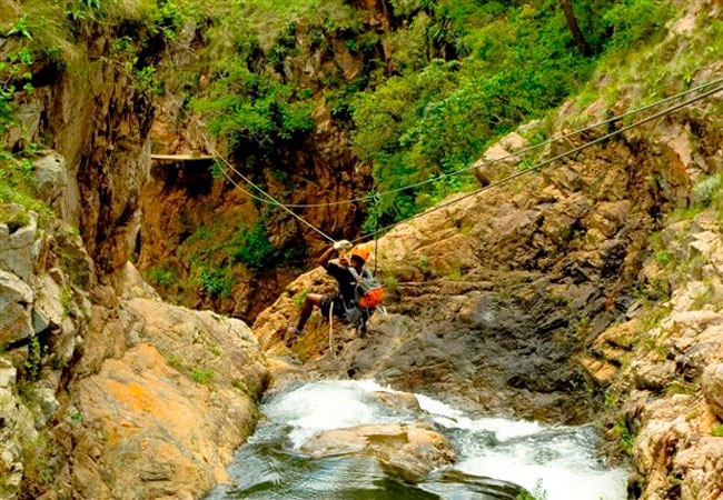 magoebaskloof canopy tours activities