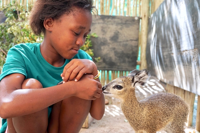 Daktari Wildlife Orphanage