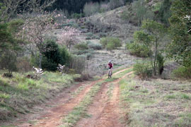 The Beautiful Magoebaskloof Trails