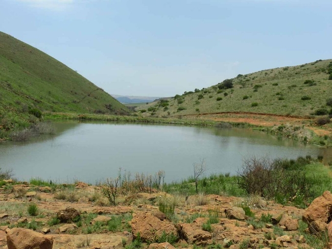 Fishing at Ribbokkloof Dam