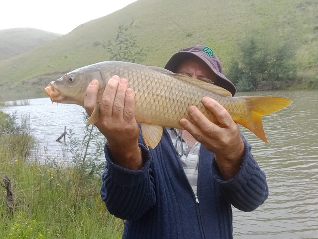 Fishing at Ribbokkloof Dam