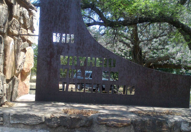 Truce Tree photograph courtesy of and © Susan de Bruyn