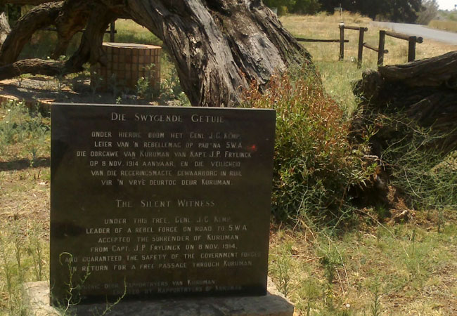 Truce Tree photograph courtesy of and © Susan de Bruyn