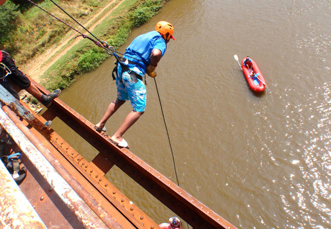 lion & safari park pelindaba road hartbeespoort broederstroom