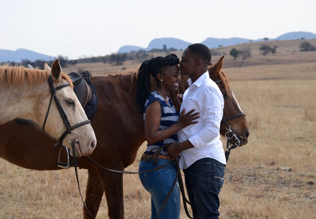 lion & safari park pelindaba road hartbeespoort broederstroom