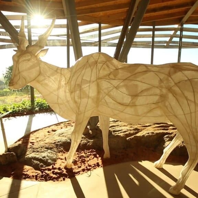 !Khwa ttu San Culture