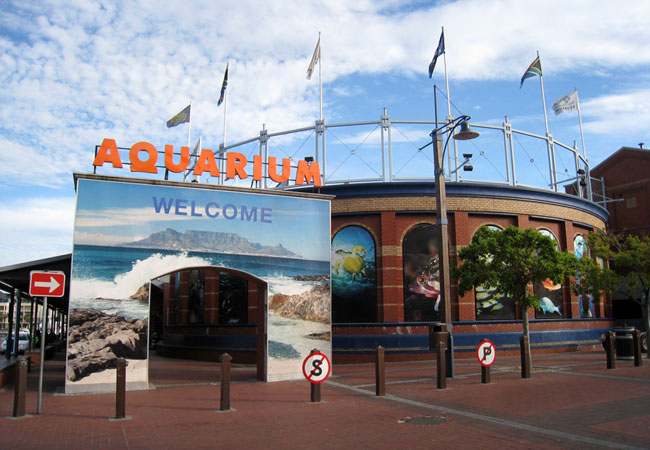 Visit The Two Oceans Aquarium In V A Waterfront Cape Town Visit The Two Oceans Aquarium In V A Waterfront Cape Town
