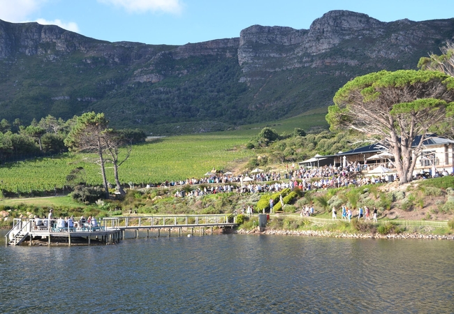 Cape Point Vineyards