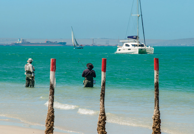 catamaran cruise langebaan