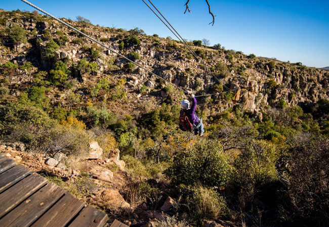 canopy tours western cape