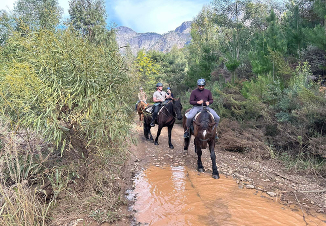 Wine Valley Horse Trails