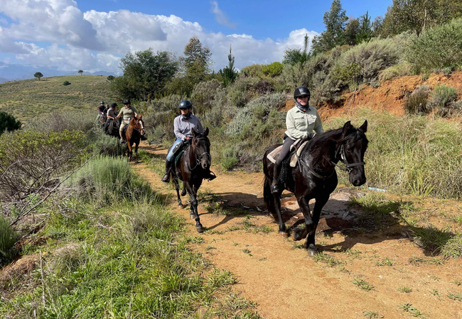 Wine Valley Horse Trails