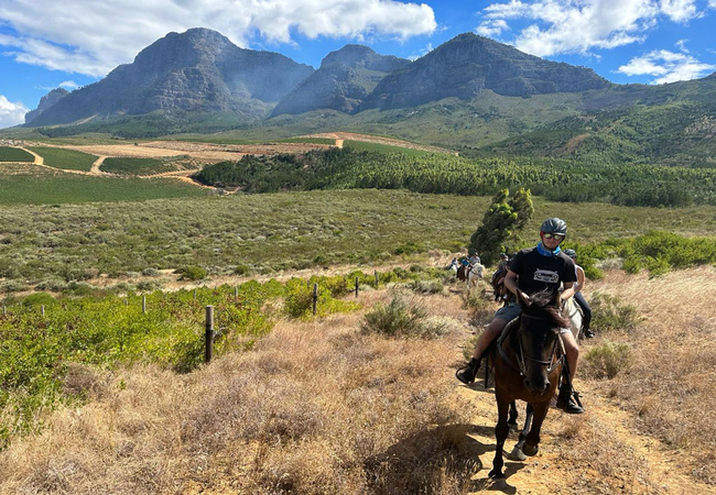 Wine Valley Horse Trails