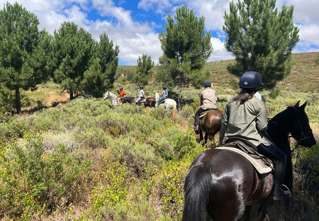 Wine Valley Horse Trails