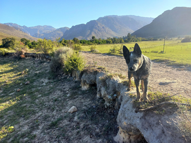 Franschhoek by Saddle