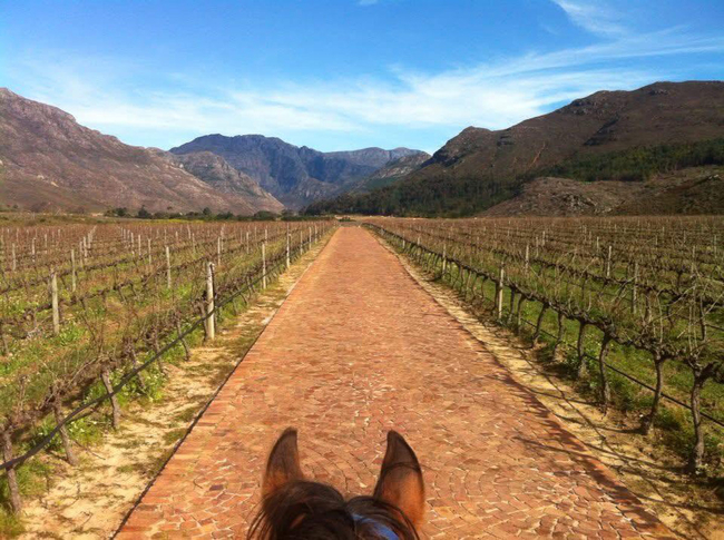 Franschhoek by Saddle
