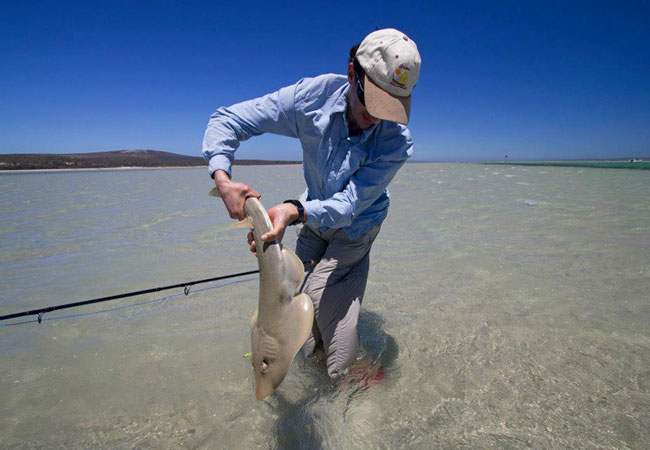 catamaran cruise langebaan