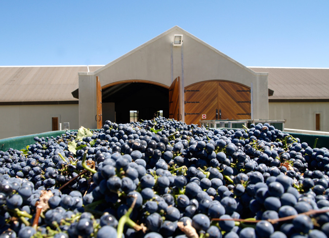 Ormonde Private Cellar