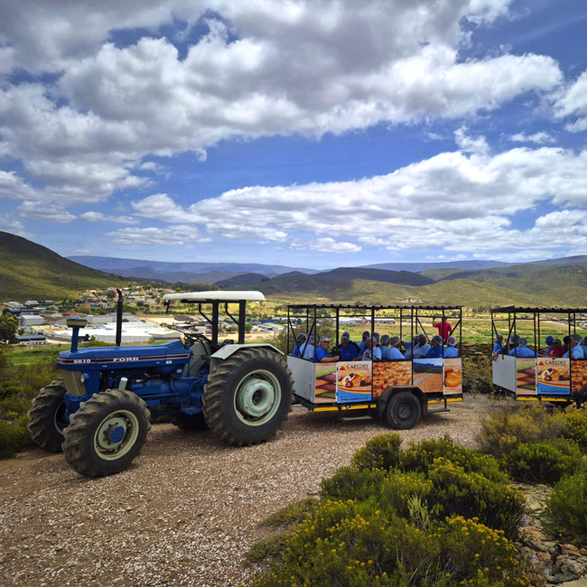 Capedry Tractor Trip