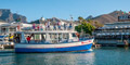Half Hour Seal & Harbour Cruise by Waterfront Charters
