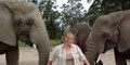 3 Day Elephant Tour (UMZET3) by Umzantsi Afrika Tours