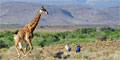 3 Day Sanbona Safari by African Blue Tours