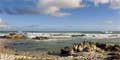 5 Day/ 4 night Garden Route and Cape Agulhas Tour. by Gary Flynn - Cape Discovery Tours